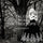 Anne Bisson - Tales From The Treetops