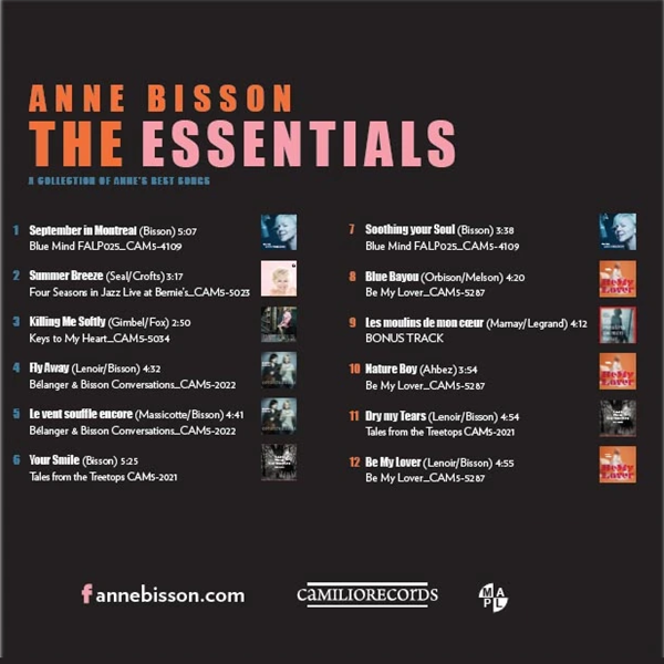 Anne Bisson - The Essentials