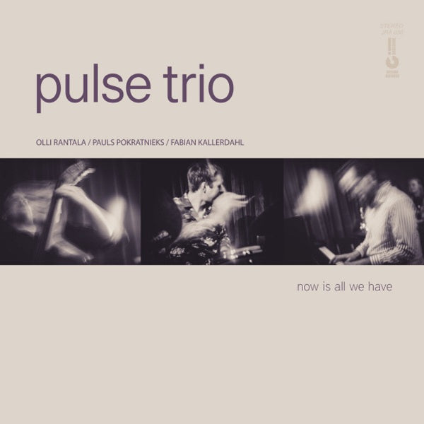 Pulse Trio - Now Is All We Have