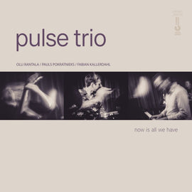 Pulse Trio - Now Is All We Have